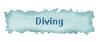 Diving