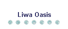 Liwa Oasis